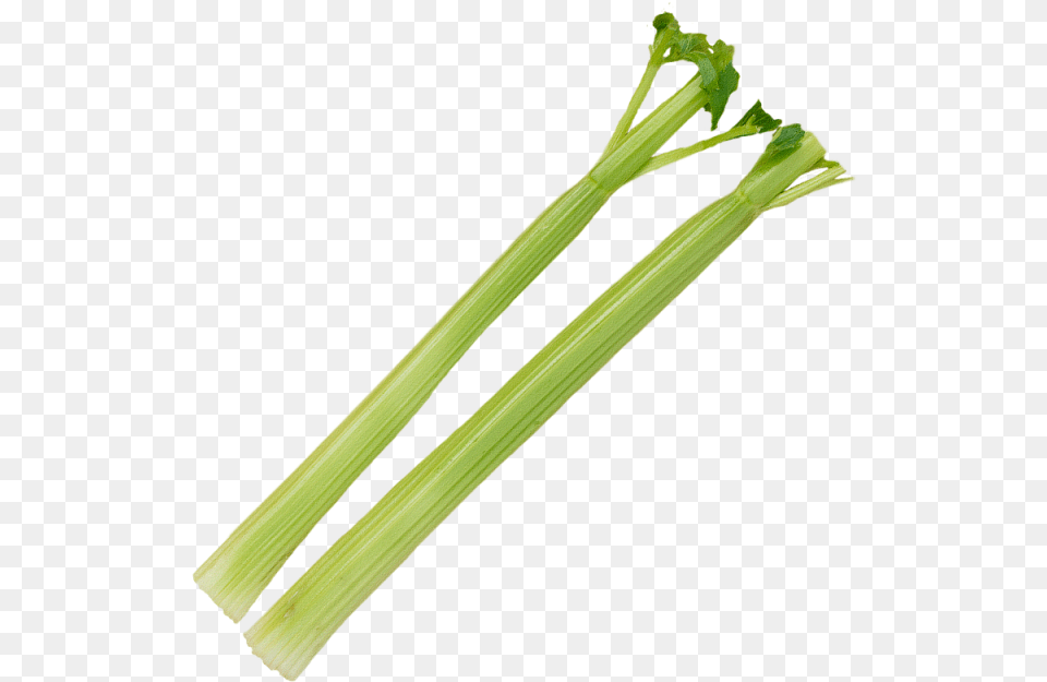 Celery Stick Background Celery, Plant, Food, Leek, Produce Free Transparent Png