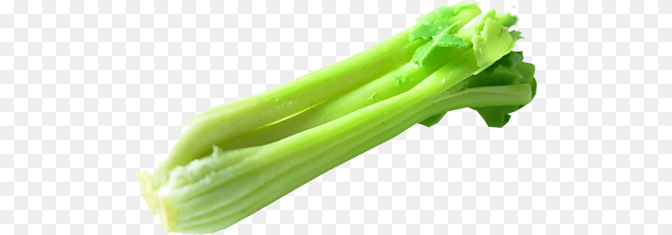 Celery Transparent Celery Transparent, Food, Produce, Leek, Plant Png