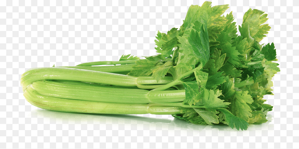 Celery Green Colour Vegetables Name, Herbs, Plant, Parsley, Food Free Transparent Png
