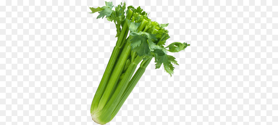 Celery Transparent Sleeved Image Black Transparent Celery, Herbs, Plant, Parsley, Food Png