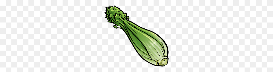 Celeryfruitvegetable Pngicoicns Icon, Food, Produce, Leek, Plant Png