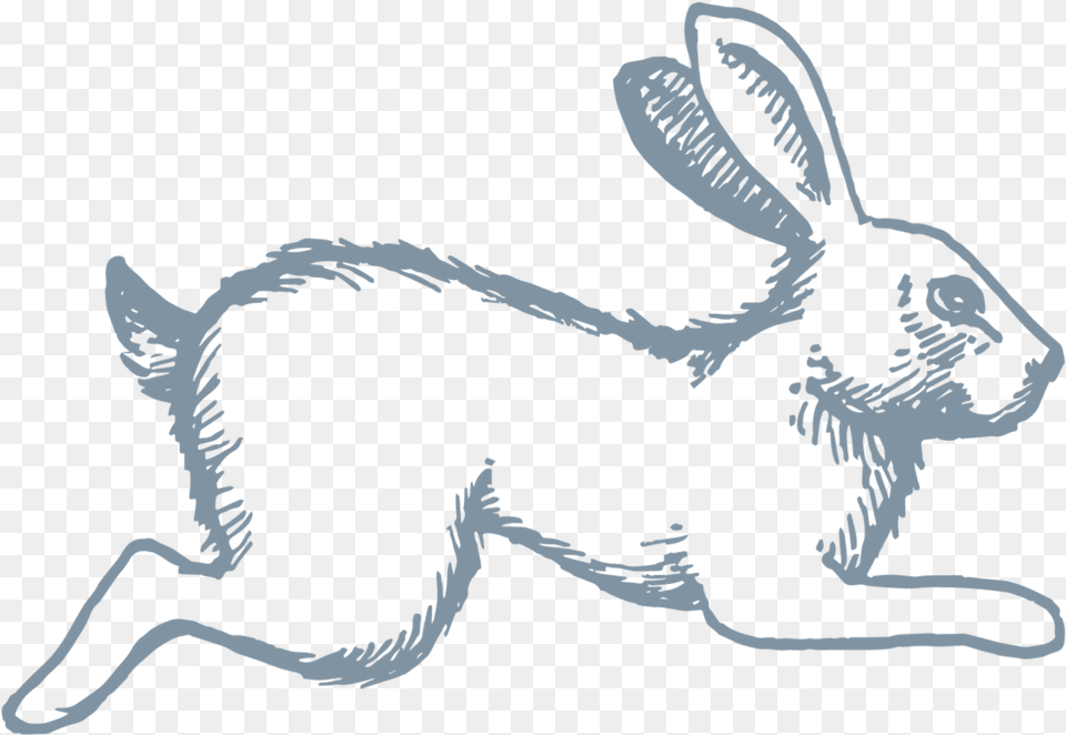 Celeste Icon Rabbit Antelope Jackrabbit, Animal, Hare, Mammal, Rodent Free Transparent Png