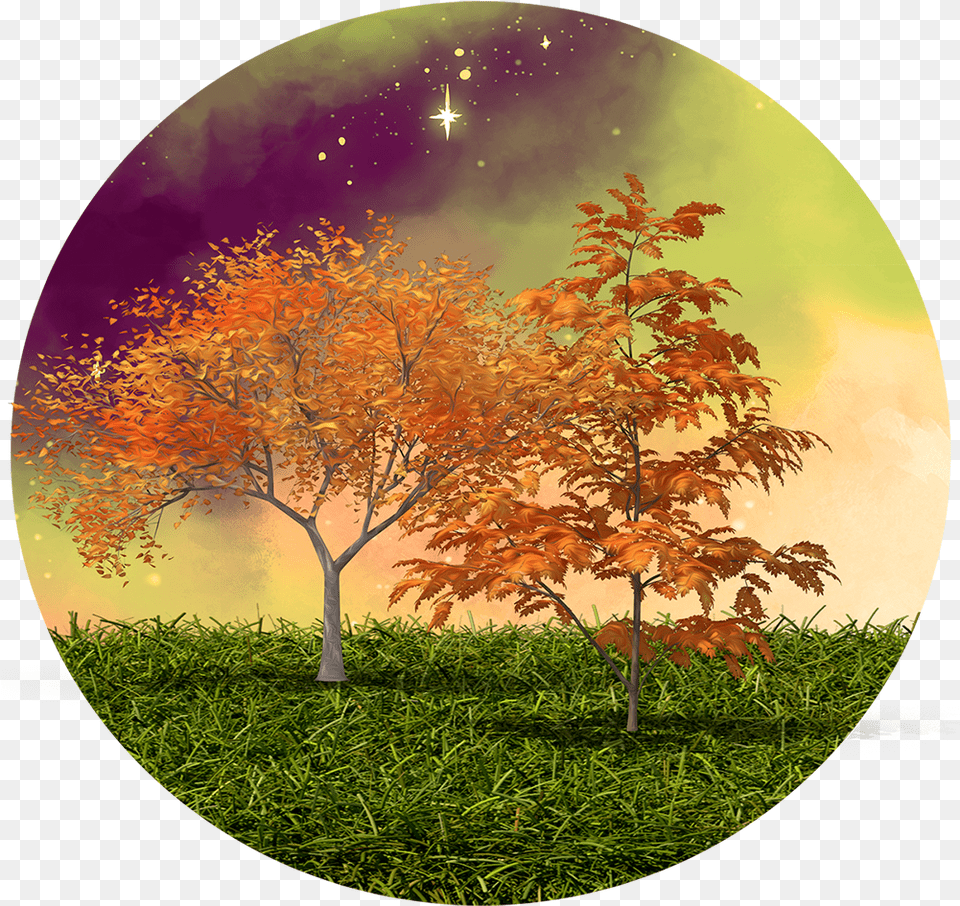 Celestial Autumn Scenery Clipart Round Tree, Grass, Sphere, Plant, Photography Free Png