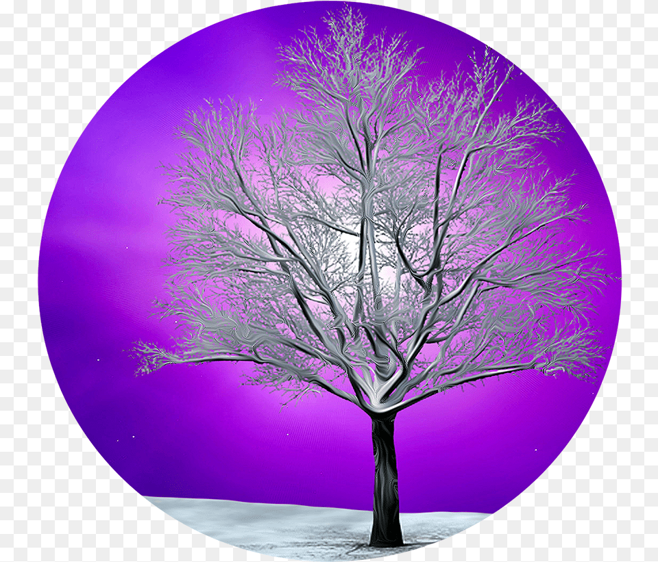 Celestial Winter Tree Clipart Ccclipartsorg Circle, Sphere, Purple, Photography, Plant Png Image