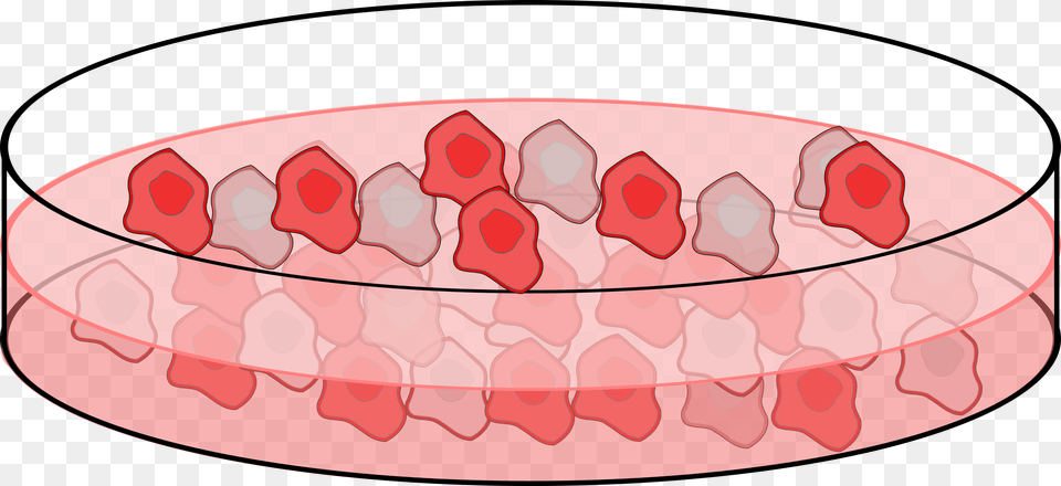 Cell Culture Clip Arts Cartoon Petri Dish Cells, Flower, Petal, Plant, Accessories Free Png Download