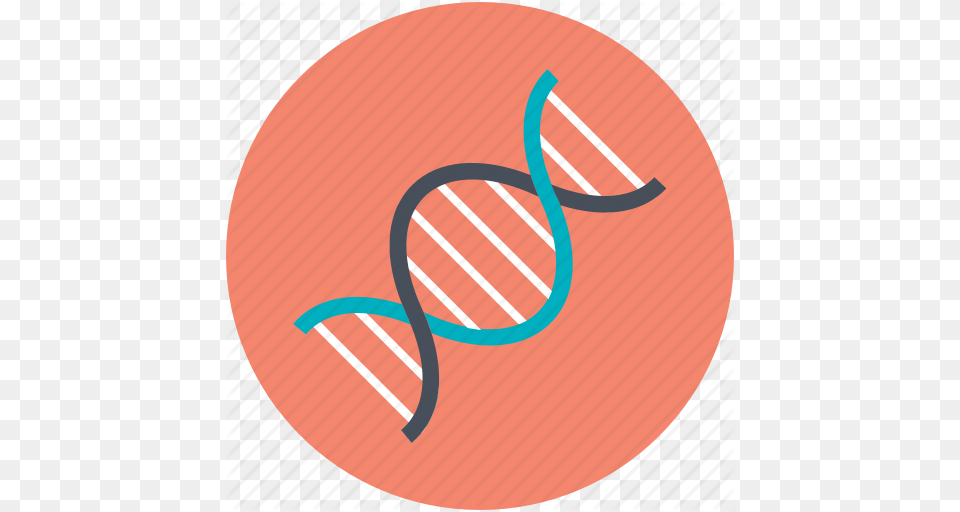 Cell Dna Dna Helix Dna Strand Genetic Icon, Logo, Disk Free Png