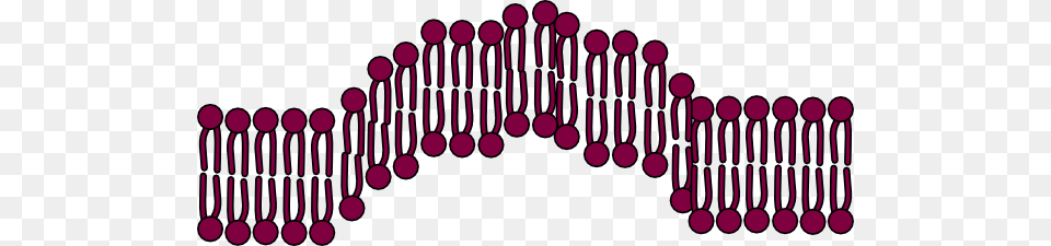 Cell Membrane, Chess, Game, Purple, People Free Transparent Png