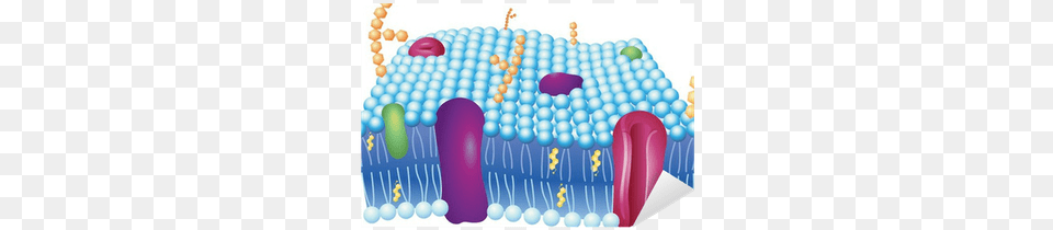 Cell Membrane, Birthday Cake, Cake, Cream, Dessert Png Image