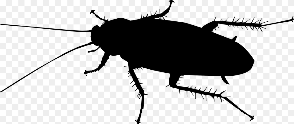 Cellphone Clipart Black And White Cockroaches, Gray Png