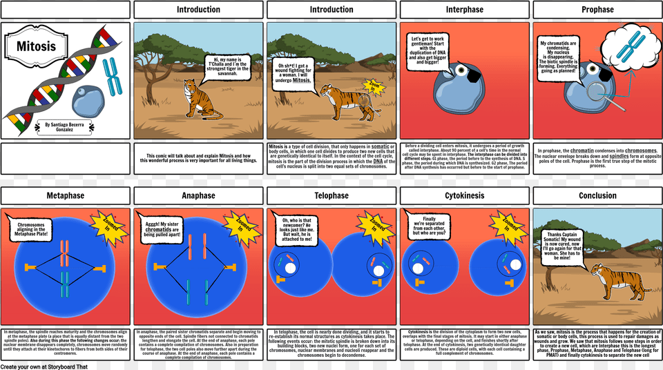 Cells In Prophase Metaphase Anaphase Telophase And, Book, Comics, Publication, Animal Png