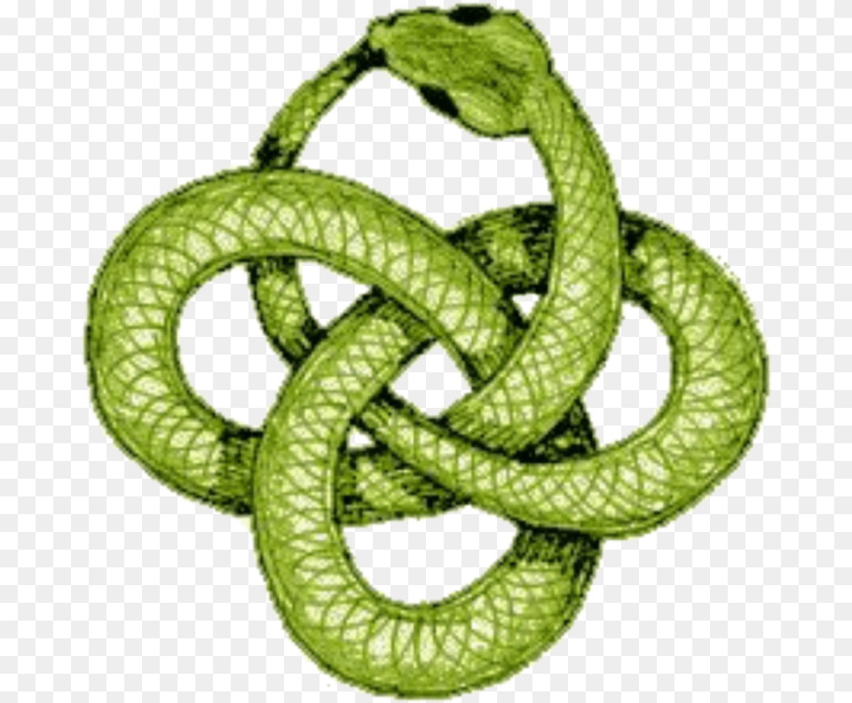 Celtic Snake Tattoo, Animal, Reptile, Knot Free Png Download