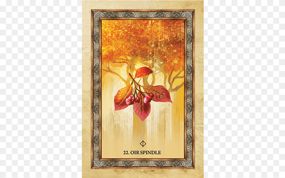 Celtic Tree Oracle, Envelope, Greeting Card, Mail, Art Png