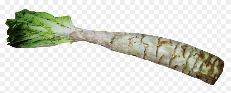 Celtuce Image, Food, Produce Free Png