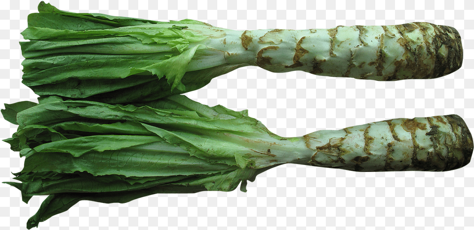 Celtuce Image Celtuce, Food, Produce, Plant Free Png