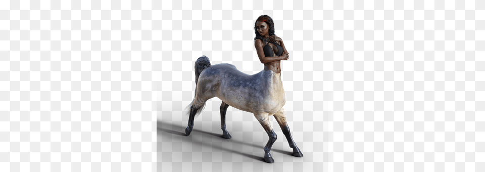 Centaur Andalusian Horse, Animal, Horse, Mammal Png Image