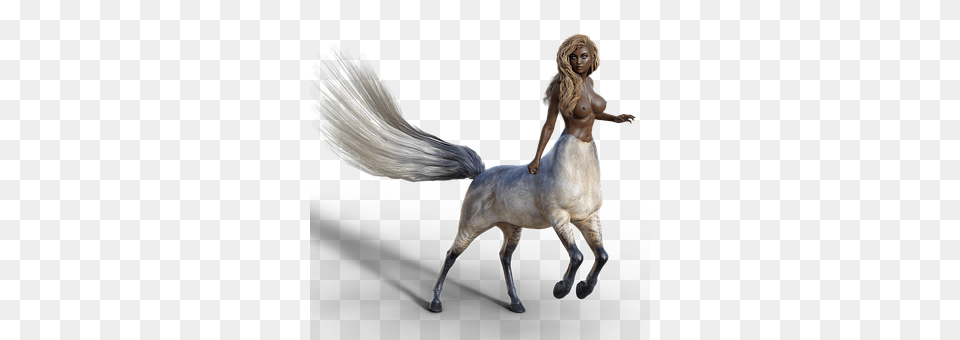 Centaur Figurine, Adult, Female, Person Free Png