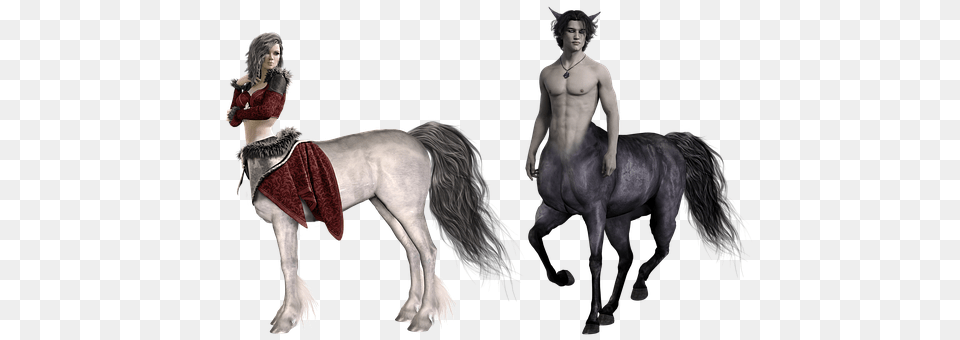 Centaur Horse, Andalusian Horse, Animal, Back Free Png Download