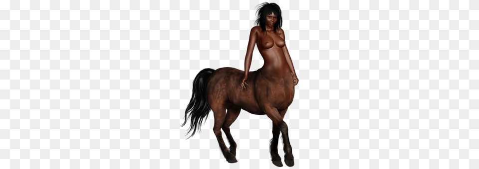 Centaur Person, Back, Body Part, Adult Free Png Download