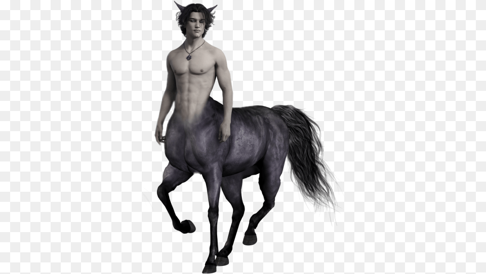 Centaur Dlpng, Person, Back, Body Part, Mammal Png Image