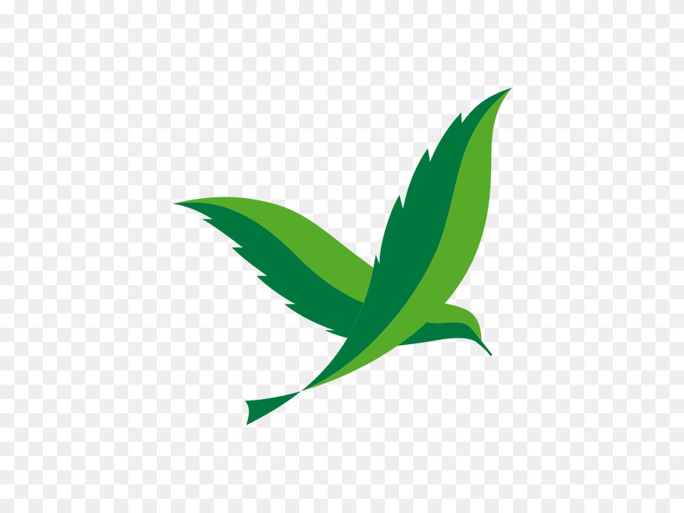 Center Parcs Logo Logo Center Parcs, Leaf, Plant, Green, Herbal Png