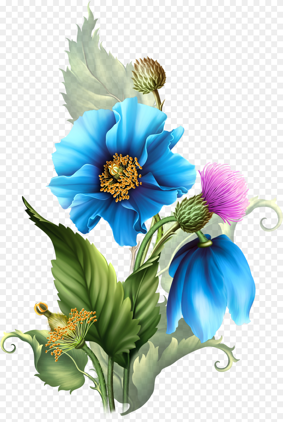 Centerblog Flowers, Anemone, Anther, Flower, Plant Free Png Download