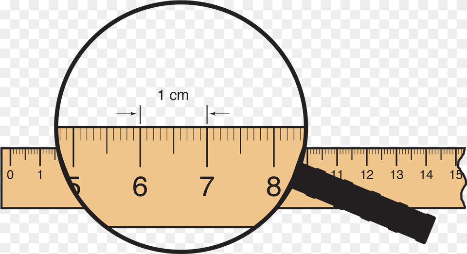 Centimeter X Meterstick Cartoon, Chart, Plot, Measurements Png Image