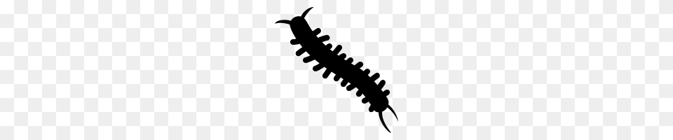 Centipede Icons Noun Project, Gray Free Png