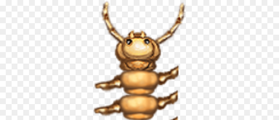 Centipede Wasp, Animal, Amphibian, Frog, Wildlife Free Png Download