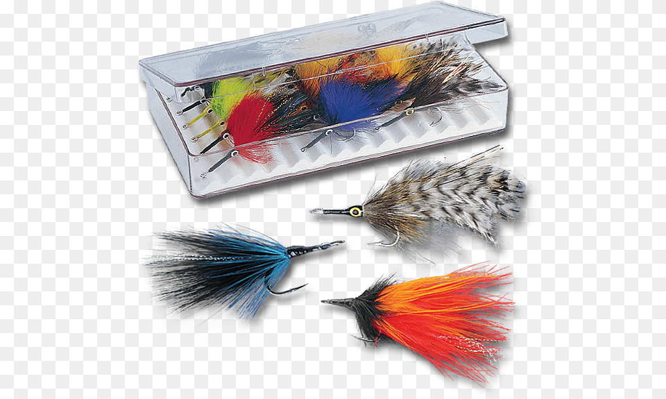 Central American Tarpon Fly Selection Electric Blue, Fishing Lure, Animal, Bird, Fish Free Png