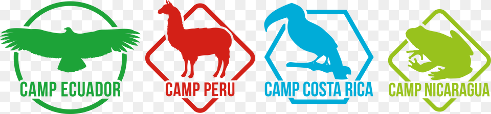 Central Amp South America 18 Weeks Camps International, Animal, Bird, Chicken, Fowl Free Png