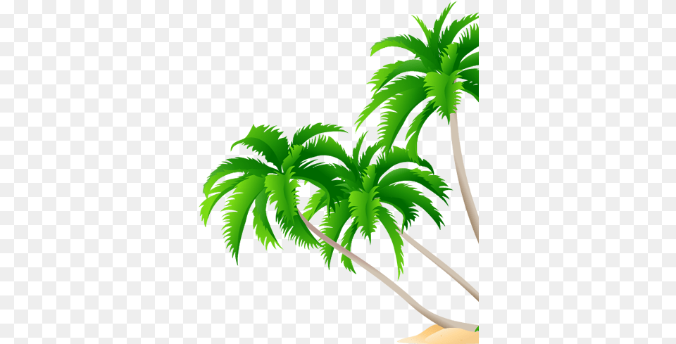 Central Commerce Court High Resolution Coconut Tree High Resolution Coconut Tree, Palm Tree, Plant, Vegetation, Green Free Png Download