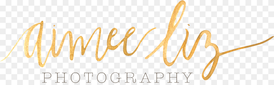 Central Massachusetts Newborn Amp Portrait Photographer Calligraphy, Handwriting, Text Png