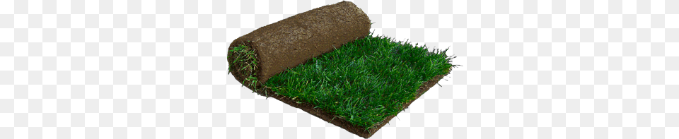 Central Sod Farms Inc, Grass, Lawn, Plant, Soil Free Png Download