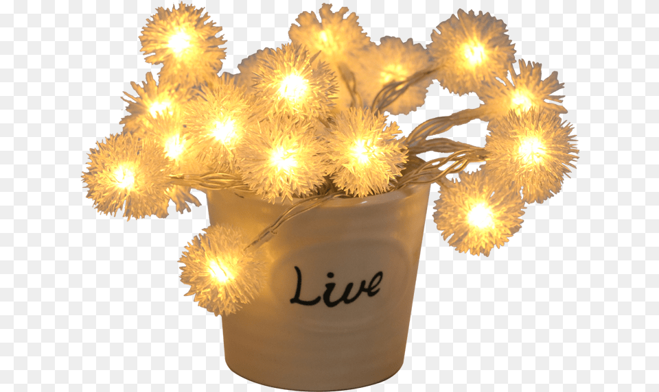 Centrepiece, Flower, Plant, Lighting, Chandelier Png