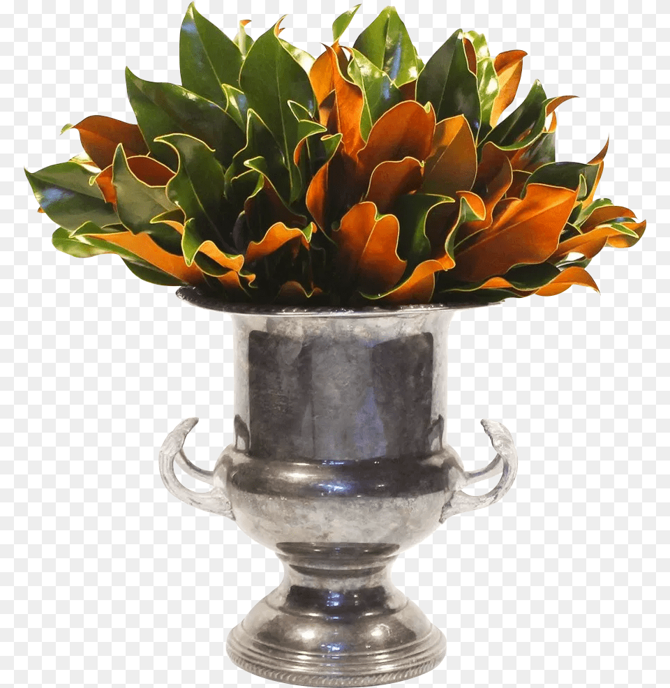 Centrepiece, Flower, Flower Arrangement, Flower Bouquet, Jar Png Image