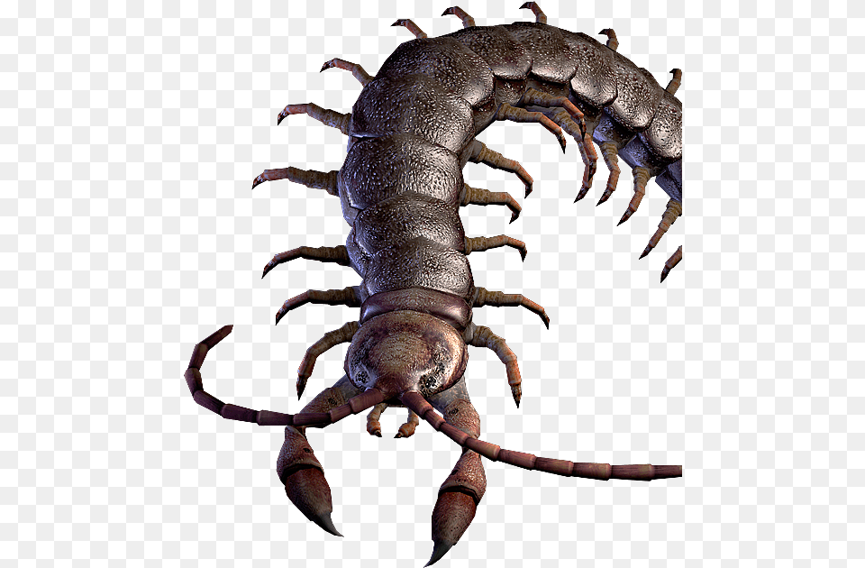 Centurion Resident Evil, Animal, Insect, Invertebrate, Electronics Free Png Download