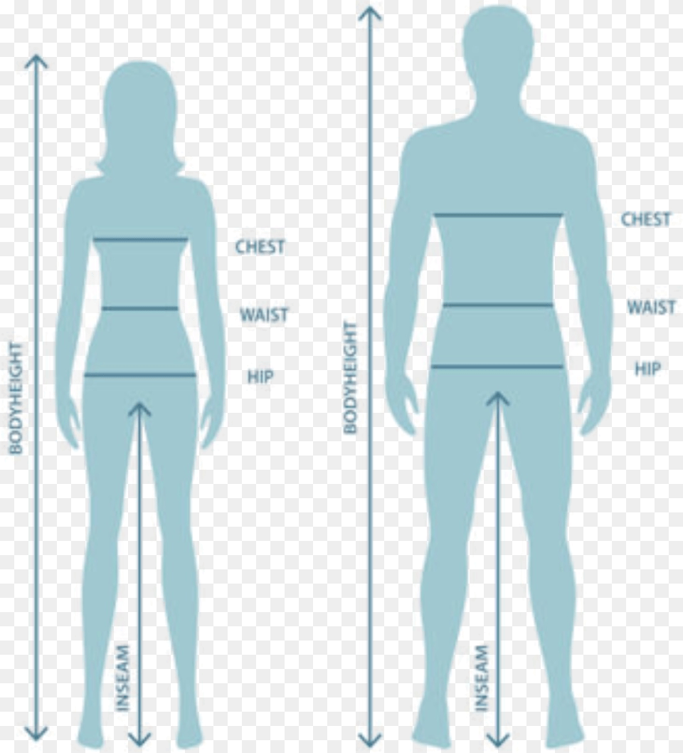 Century Road Bike Flatbike, Chart, Measurements, Plot, Adult Free Png