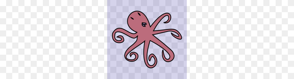 Cephalopod Clipart, Animal, Sea Life, Invertebrate, Octopus Free Transparent Png