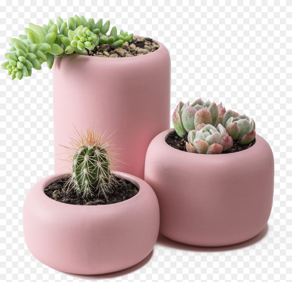Ceramic Plant Pot Set Flowerpot, Jar, Planter, Potted Plant, Pottery Png