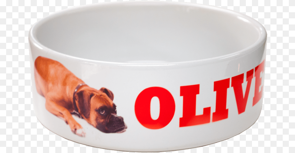 Ceramic Sublimation Pet Bowl Small 5 Wide Boxer, Animal, Mammal, Bulldog, Canine Png Image