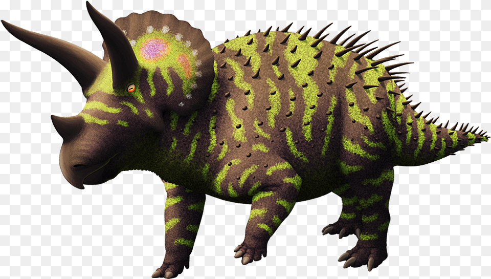 Ceratopsian Month Triceratops, Animal, Lizard, Reptile, Dinosaur Free Png Download