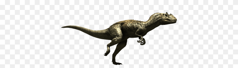 Ceratosaurus, Animal, Dinosaur, Reptile, T-rex Free Transparent Png