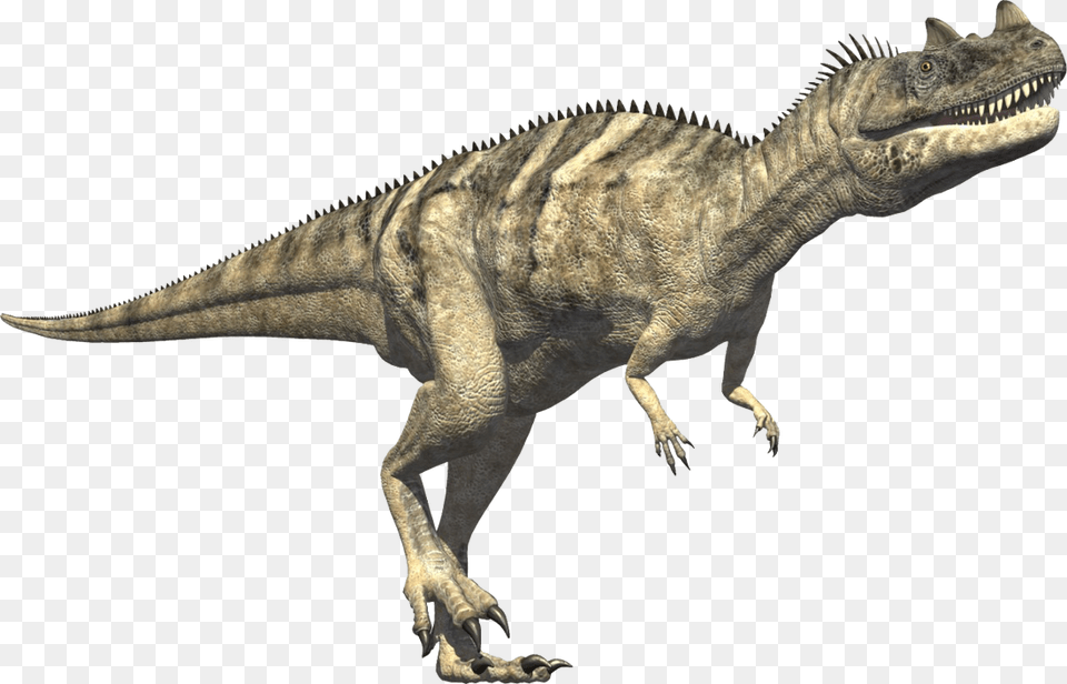 Ceratosaurus Jurassic Period, Animal, Dinosaur, Reptile, T-rex Free Png