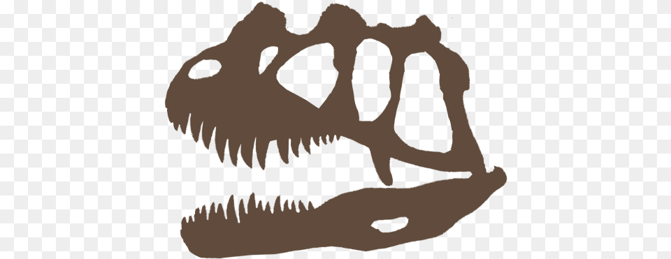 Ceratosaurus Skull, Person, Animal, Dinosaur, Reptile Free Png