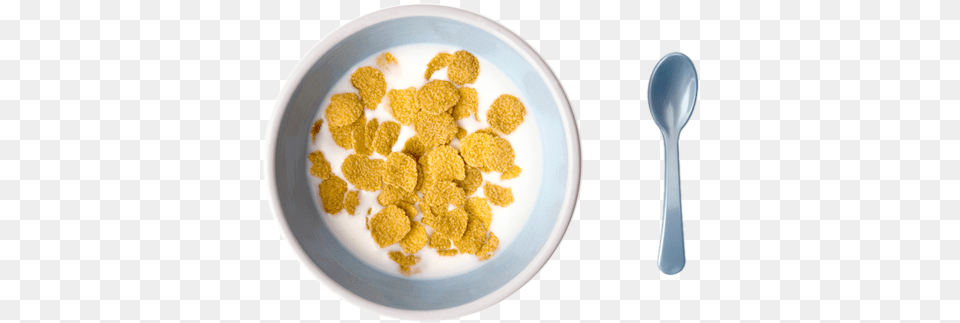 Cereal Stockxchng, Bowl, Cutlery, Spoon, Food Free Png Download