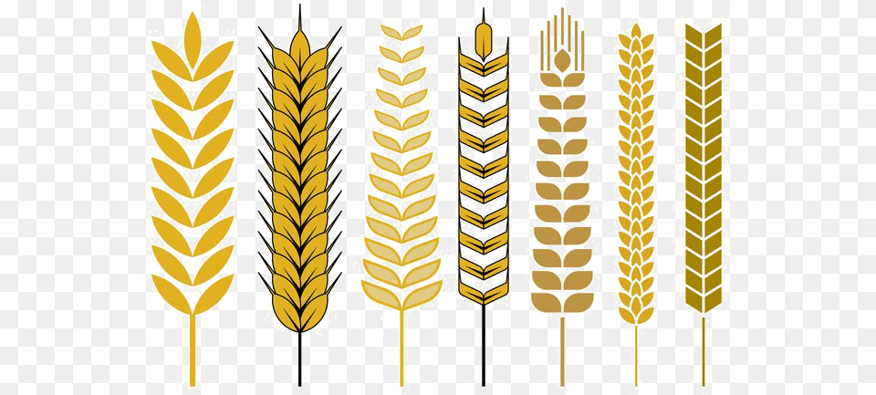 Cereal Vector, Grass, Plant, Food, Grain Free Png Download