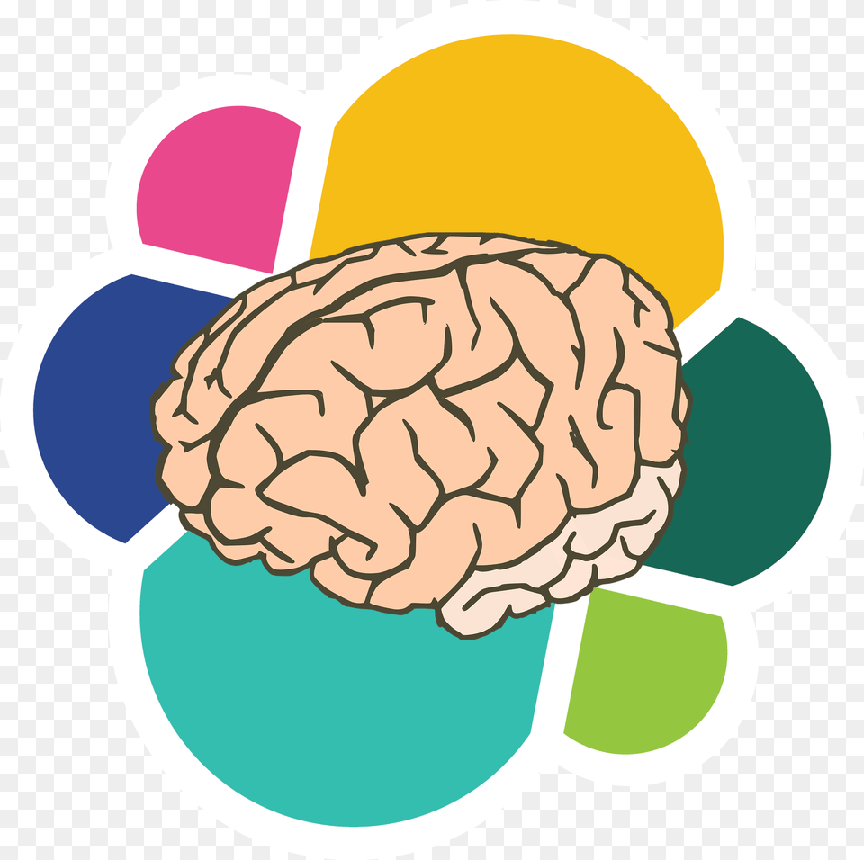Cerebro Elasticsearch Brain Clipart Background, Food, Nut, Plant, Produce Free Transparent Png