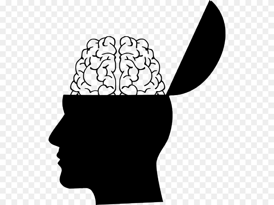 Cerebro La Cabeza Silueta Creatividad Creo Que Head Silhouette With Brain, Gray Png Image