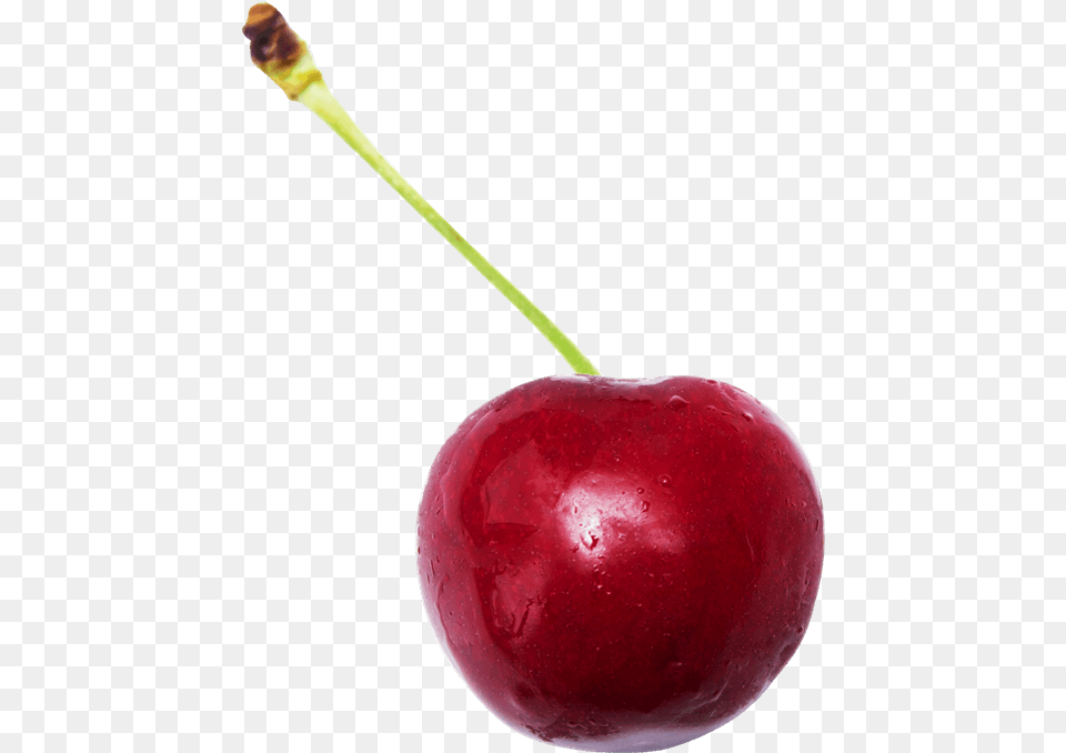 Cereza, Cherry, Food, Fruit, Plant Free Png Download