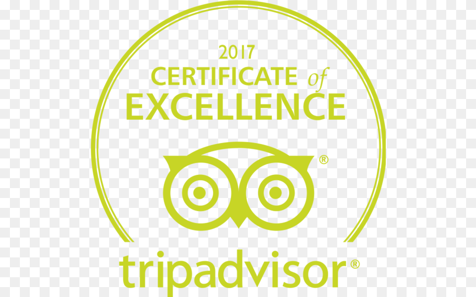 Certificate Of Excellent By Trip Advisor 2018 Certificate Of Excellence Tripadvisor, Green, Leaf, Plant, Ball Free Png